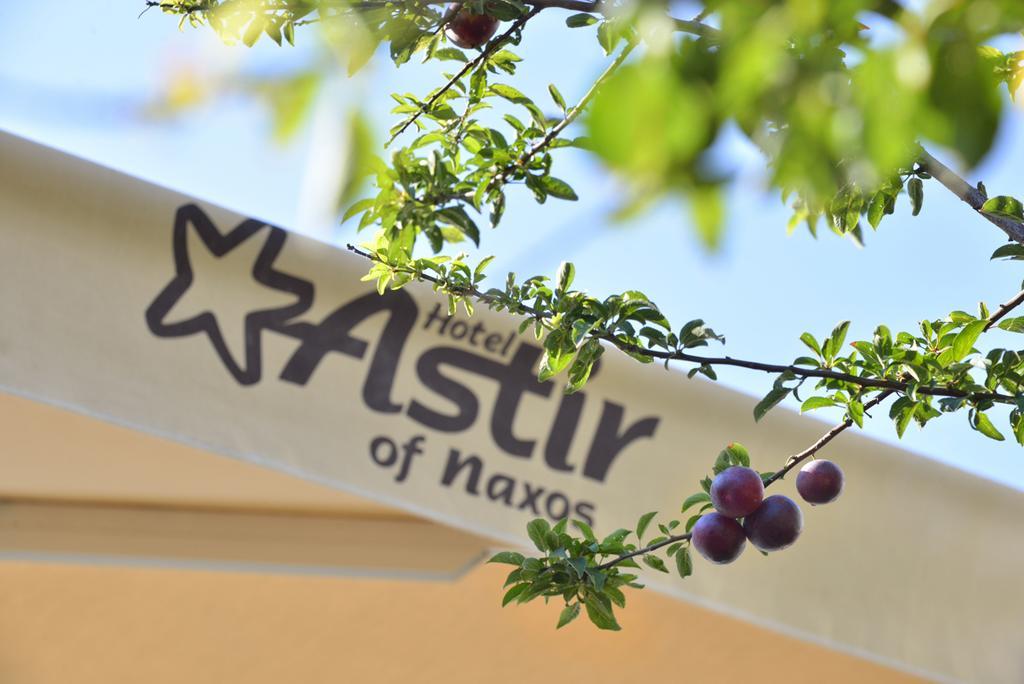 Hotel Astir Of Naxos Naxos City Esterno foto