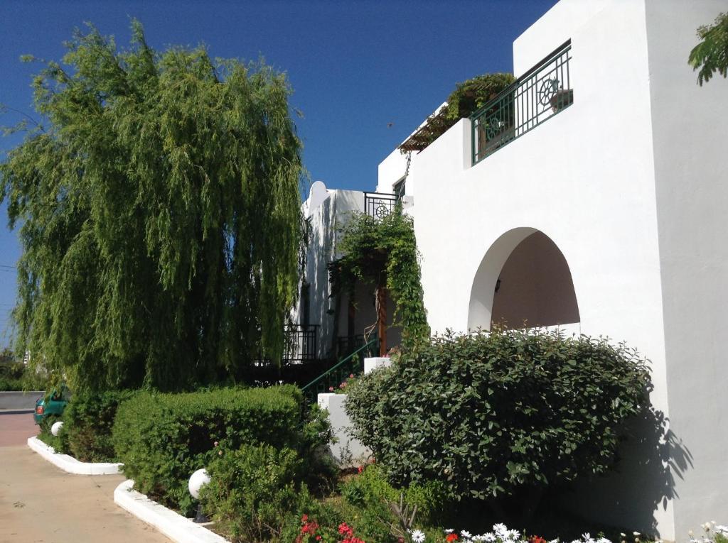 Hotel Astir Of Naxos Naxos City Esterno foto